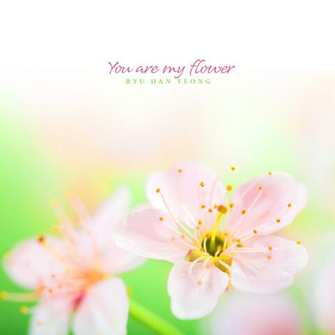 You are my flower