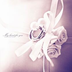 My Heart Towards You