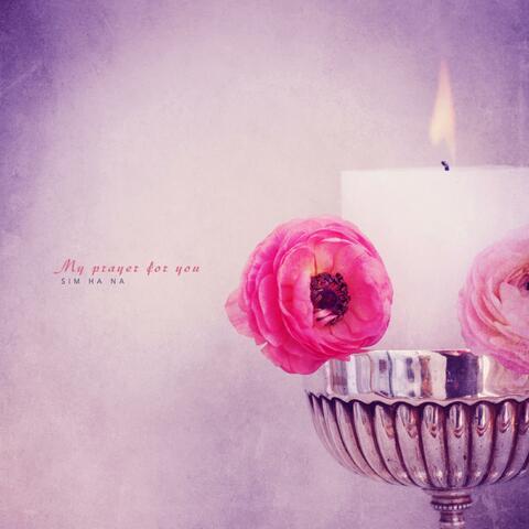 My prayer for you