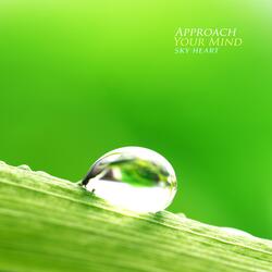 Approach Your Mind
