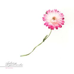 Looking At Your Smile