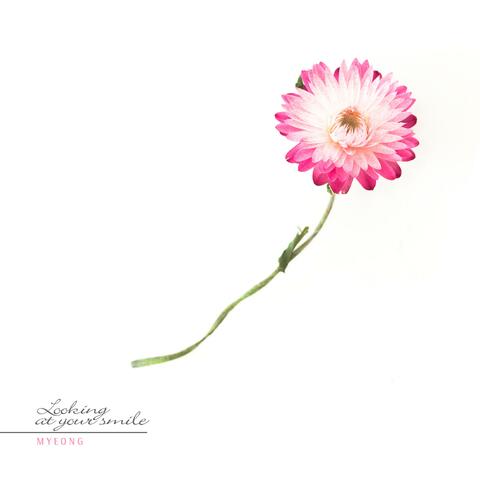 Looking At Your Smile