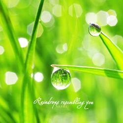 Raindrops Resembling You