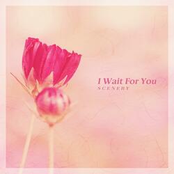 A Beautiful Spring Day