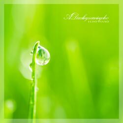 A Dazzling Morning Dew
