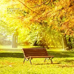 The dimness is falling