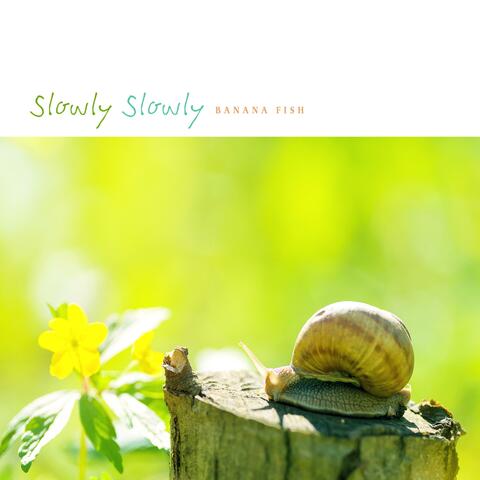 Slowly Slowly