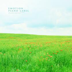 A Letter Of Love You Gave