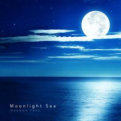 Moonlight Sea