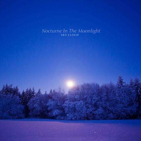 Nocturne In The Moonlight