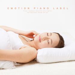 Moonlight Angel's Dream