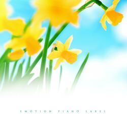 Moonlight Sumi Is A Window