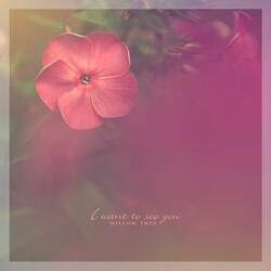 I Want To See You