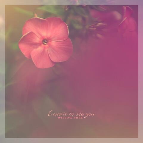 I Want To See You