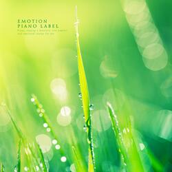 Forbidden Feeling