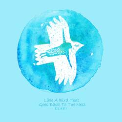 Like A Bird That Goes Back To The Nest