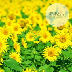 The fragrance of the years