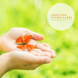 Night With Snow And Stars