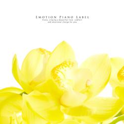 Looking At Your Smile