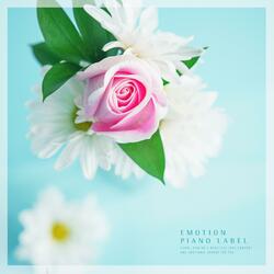 Melody of spring night