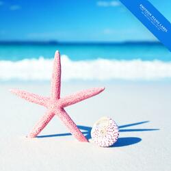 When cherry blossoms come