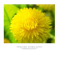 Sonata In The Autumn Night