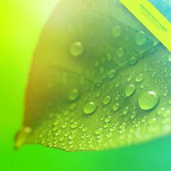 You Who Give Happiness