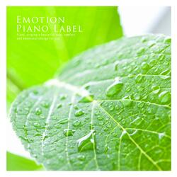 Moonlight Angel's Dream