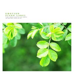 Your Face You Want To See