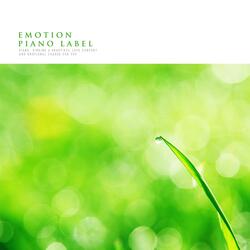 Unfamiliar Afternoon Scent