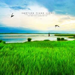 One flash of memory, two