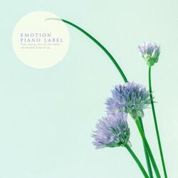stigma
