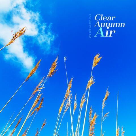 Clear Autumn Air