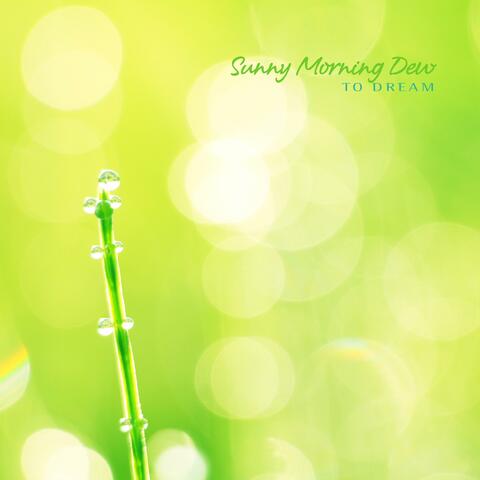 Sunny Morning Dew
