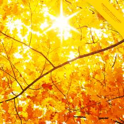In The Autumn