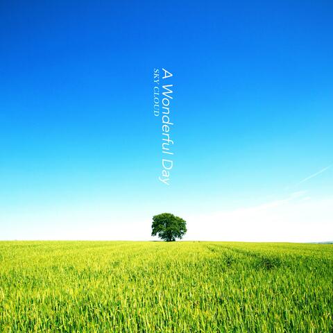 A Wonderful Day