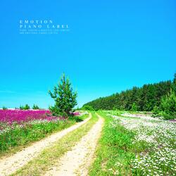 A world full of stars