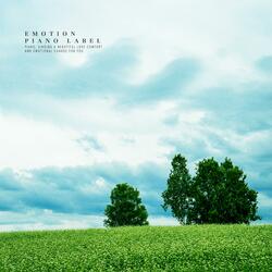 Moonlight Sumi Is A Window