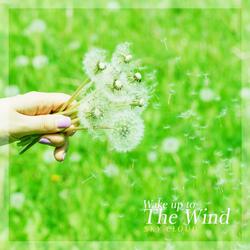 Wake Up To The Wind