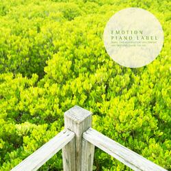 The Night Sky Full Of Galaxies