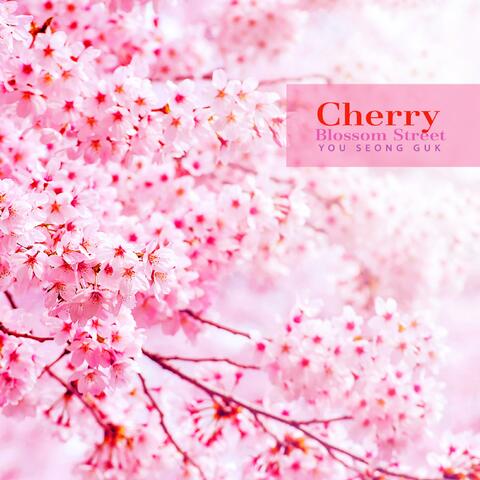 Cherry blossom street
