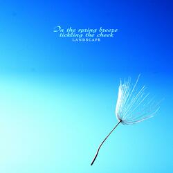 In the spring breeze tickling the ball