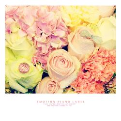 Like a clear eyeball