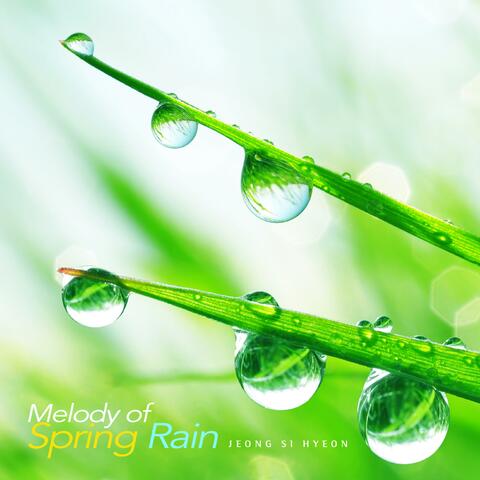 Melody of spring rain