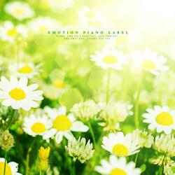 The Serene Morning Forest