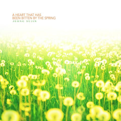 A Heart That Has Been Bitten By The Spring