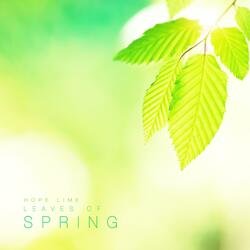 Leaves Of Spring