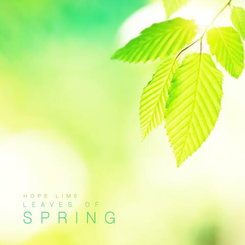Leaves Of Spring