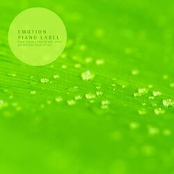 A Person Who Loves You