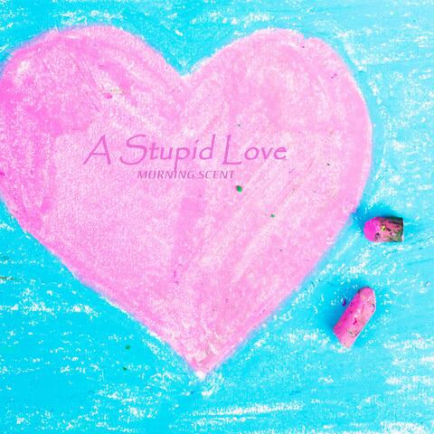 A Stupid Love
